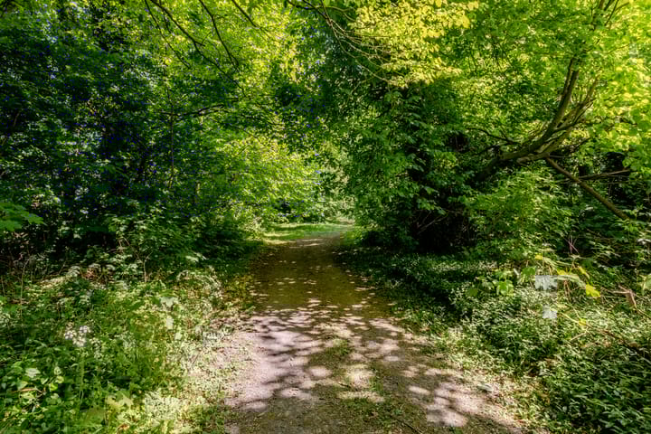 Foto 84 van Wormerweg 17