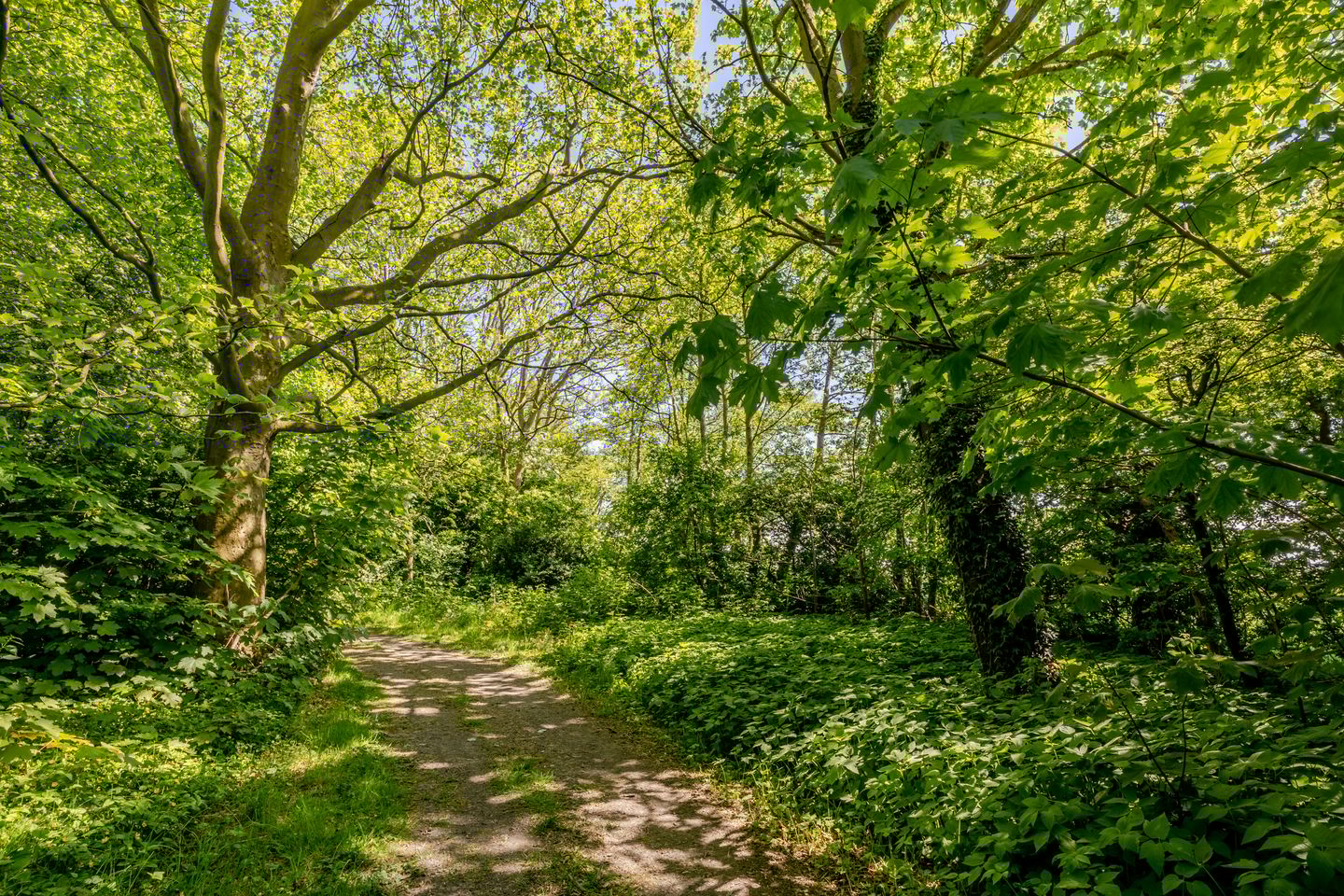 Foto 85 van Wormerweg 17