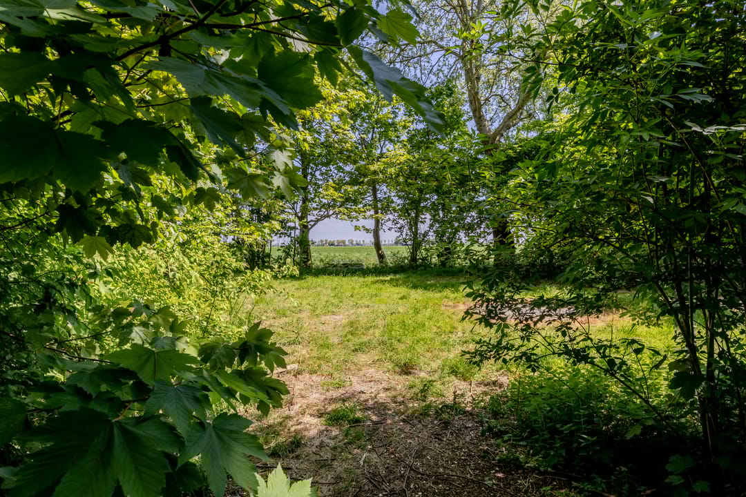 Foto 86 van Wormerweg 17