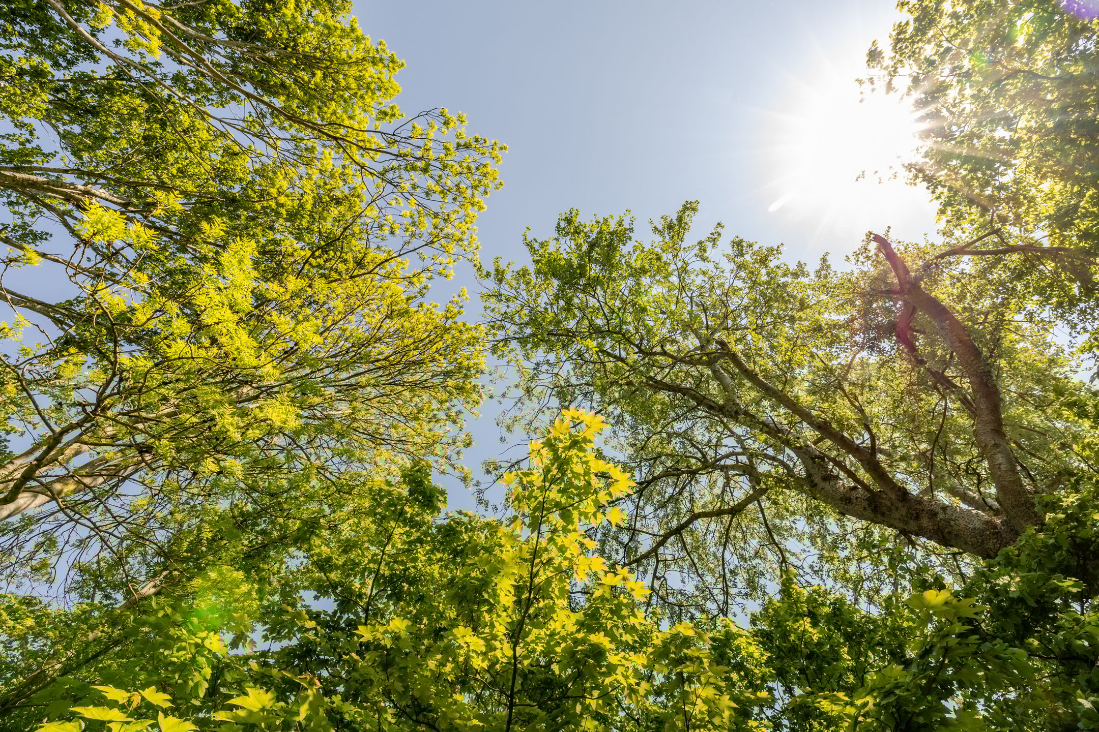 Foto 87 van Wormerweg 17