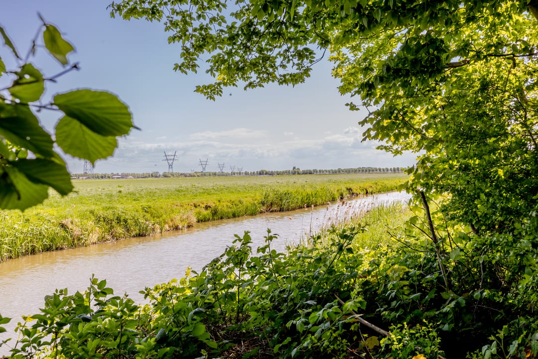 Foto 88 van Wormerweg 17