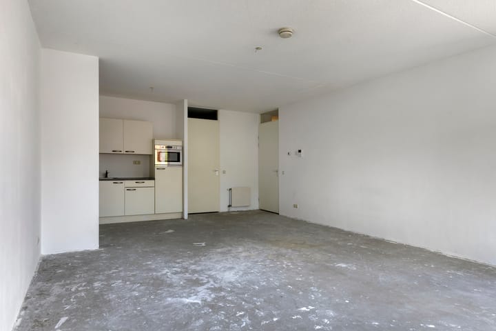 Foto 6 van Hoornwerk 210