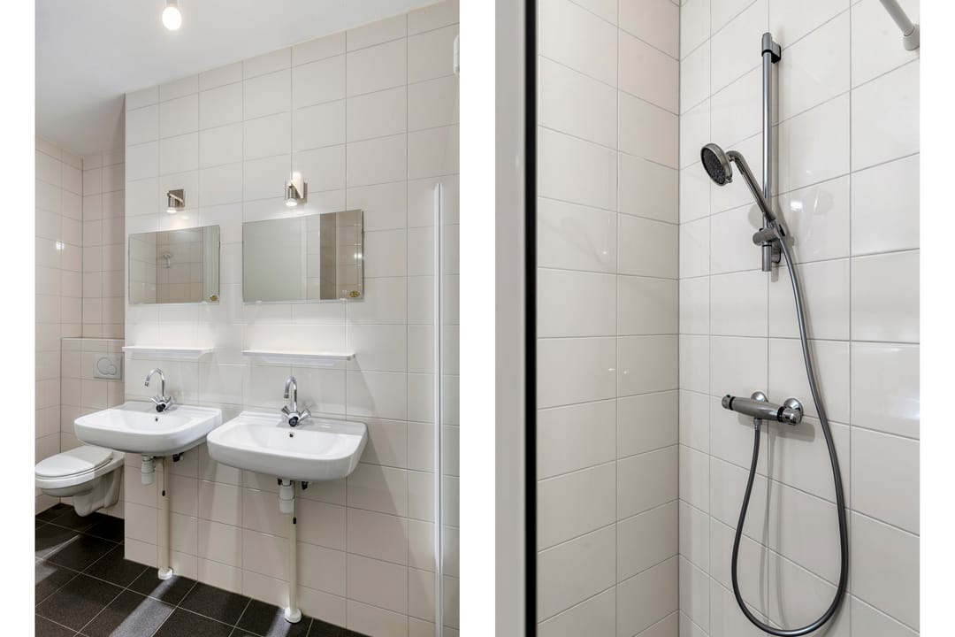 Foto 16 van Hoornwerk 210