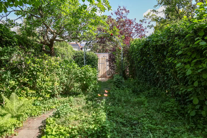 Foto 18 van Ranonkelstraat 30