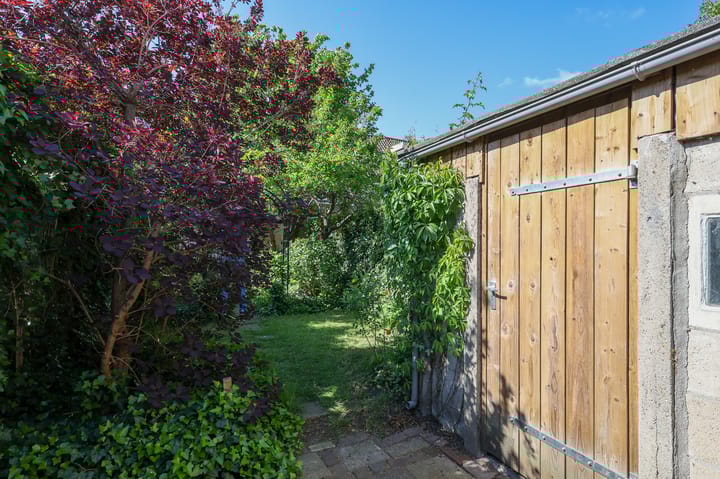 Foto 20 van Ranonkelstraat 30