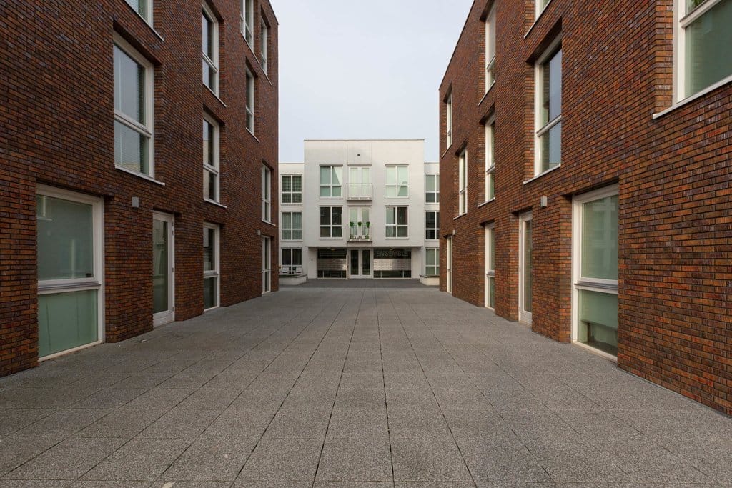 Photo 2 of Duiker 39