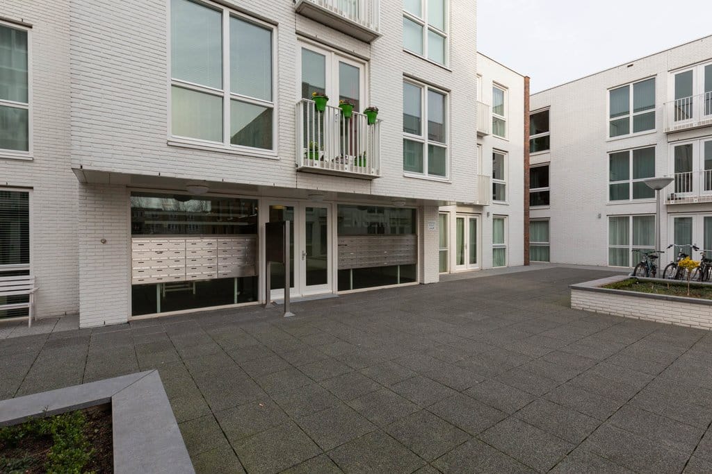 Photo 3 of Duiker 39