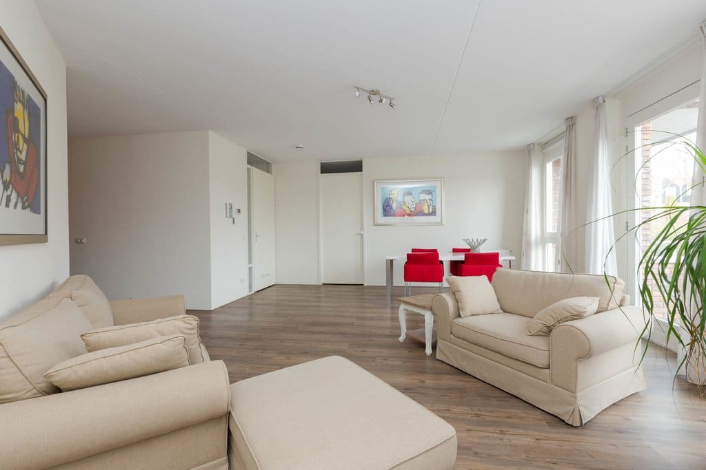 Photo 5 of Duiker 39