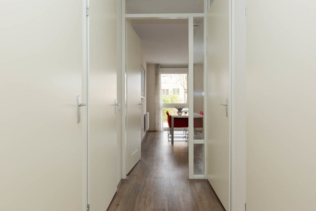 Photo 14 of Duiker 39