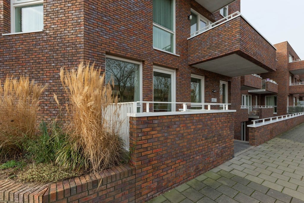 Photo 22 of Duiker 39