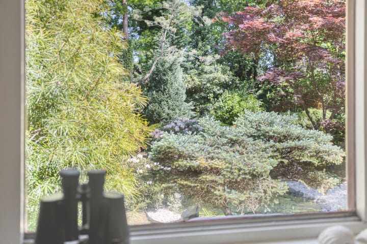 Foto 28 van Nuisvelderbos 21