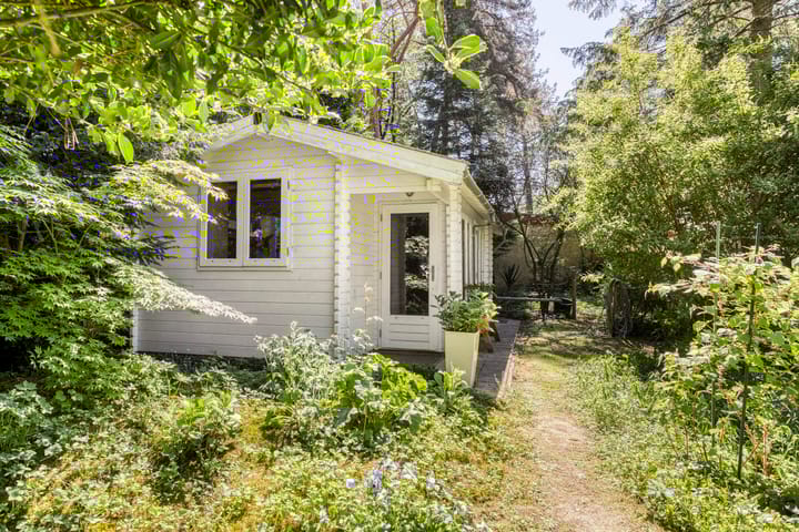 Foto 37 van Nuisvelderbos 21