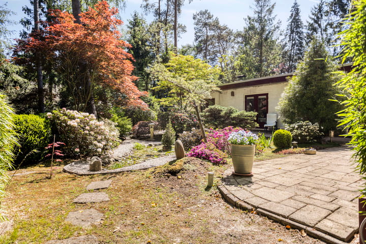 Foto 42 van Nuisvelderbos 21