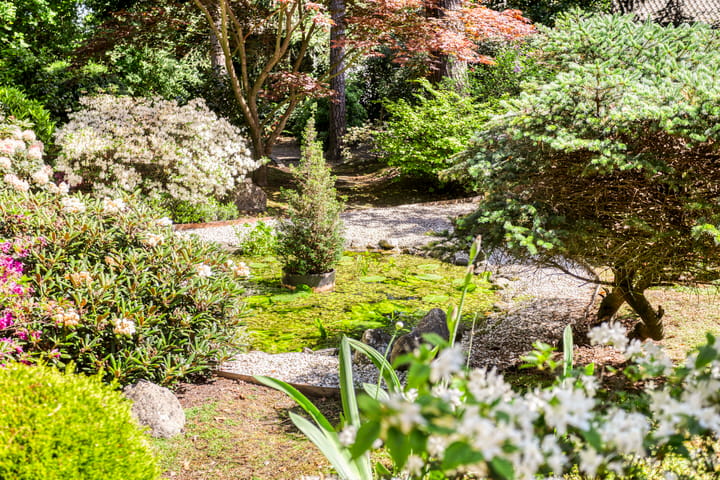 Foto 45 van Nuisvelderbos 21