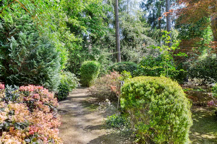 Foto 46 van Nuisvelderbos 21