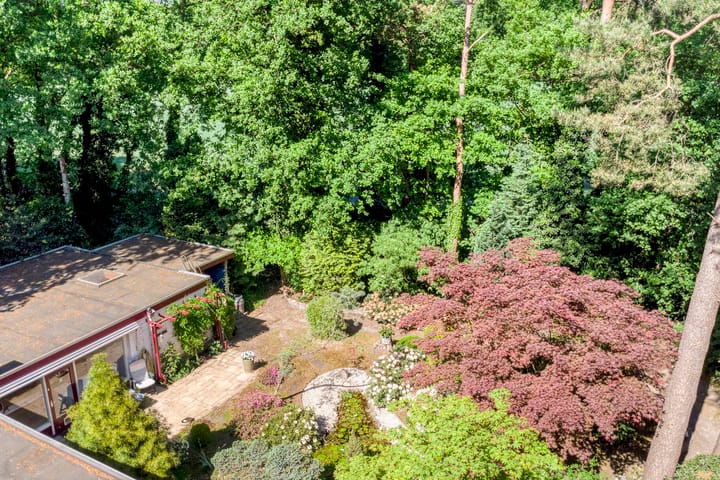 Foto 47 van Nuisvelderbos 21