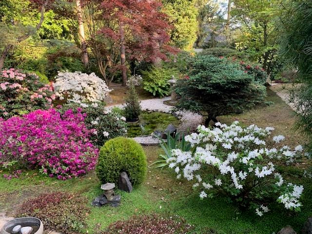 Foto 49 van Nuisvelderbos 21