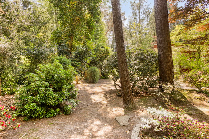 Foto 52 van Nuisvelderbos 21