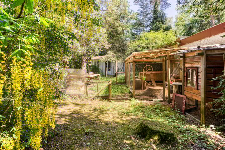 Foto 56 van Nuisvelderbos 21