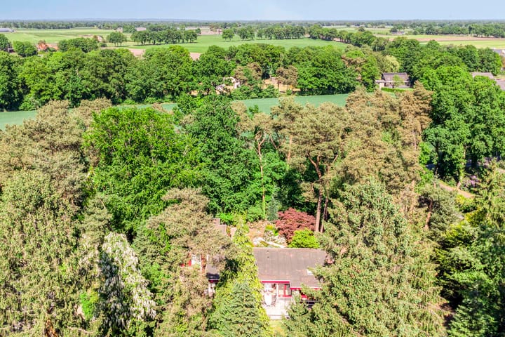 Foto 61 van Nuisvelderbos 21