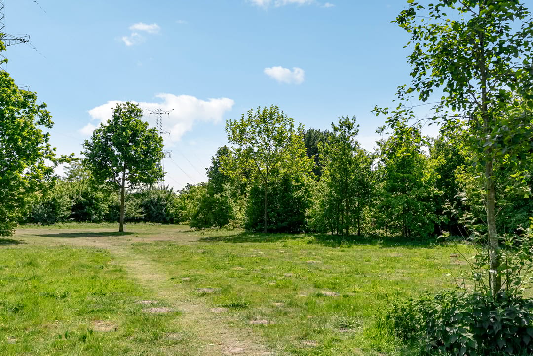 Foto 37 van Jan Frankenstraat 110