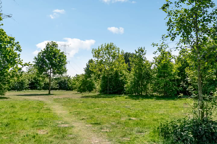 Photo 37 of Jan Frankenstraat 110