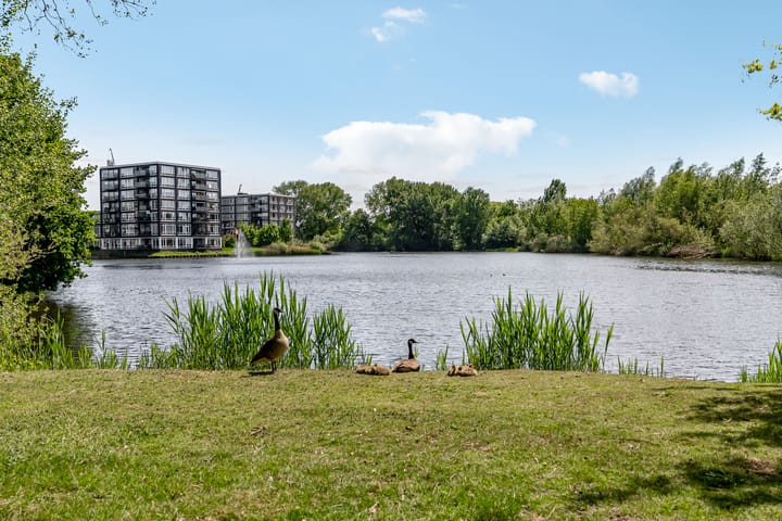 Photo 38 of Jan Frankenstraat 110