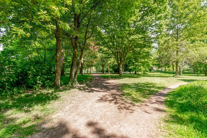 Photo 41 of Jan Frankenstraat 110