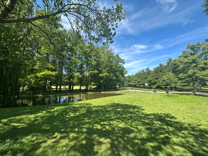 Photo 31 of Stadhoudersweg 157-C