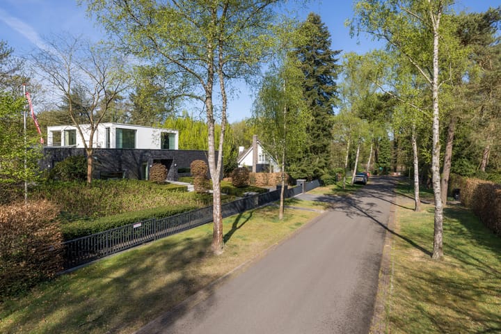 Foto 36 van Hoge Duinlaan 26