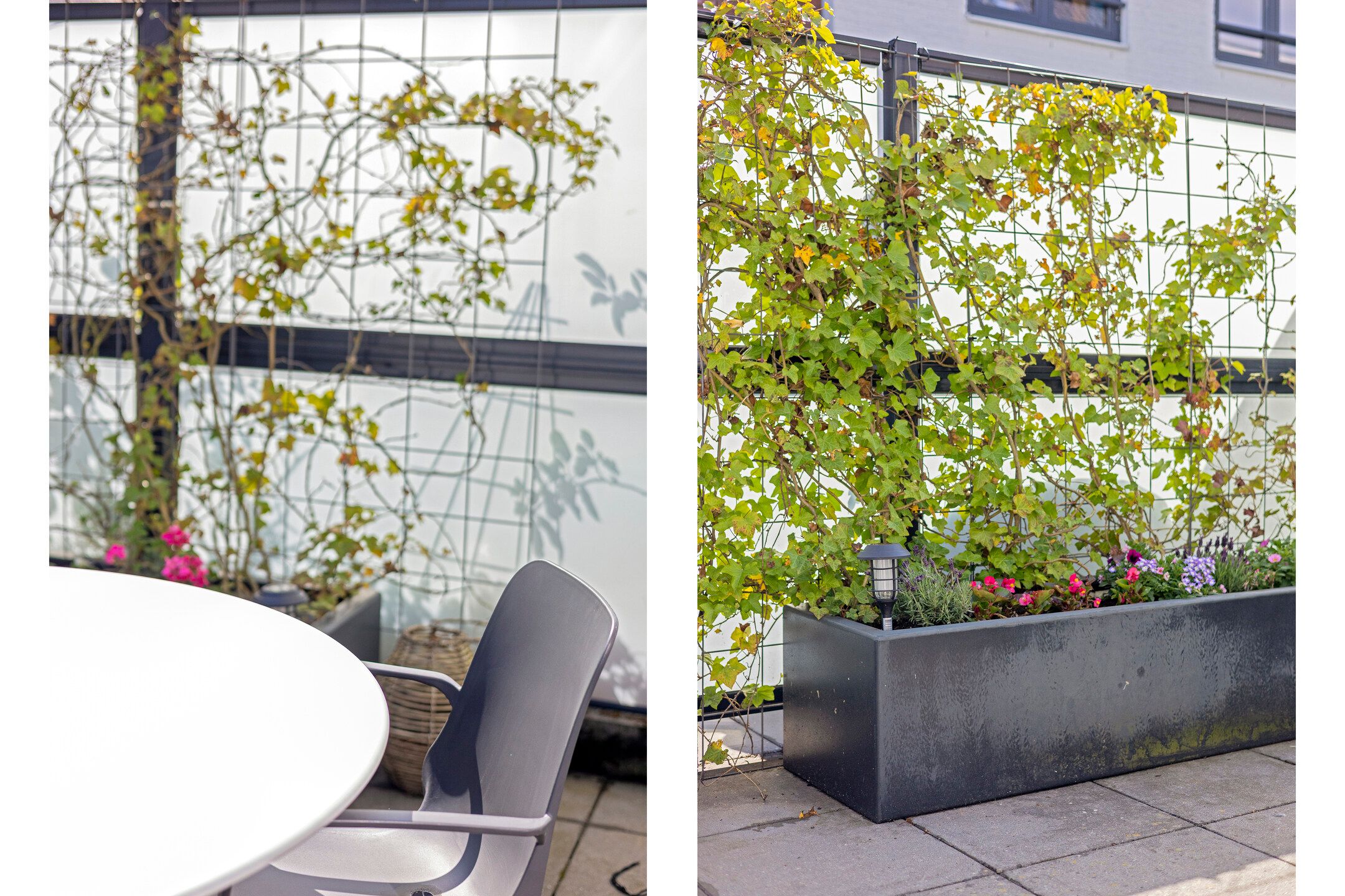 Foto 33 van Ohmstraat 16