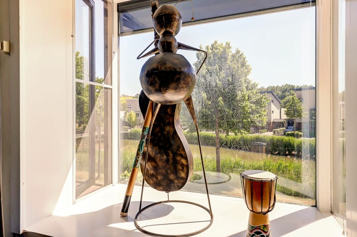 Foto 21 van Bijwater 6