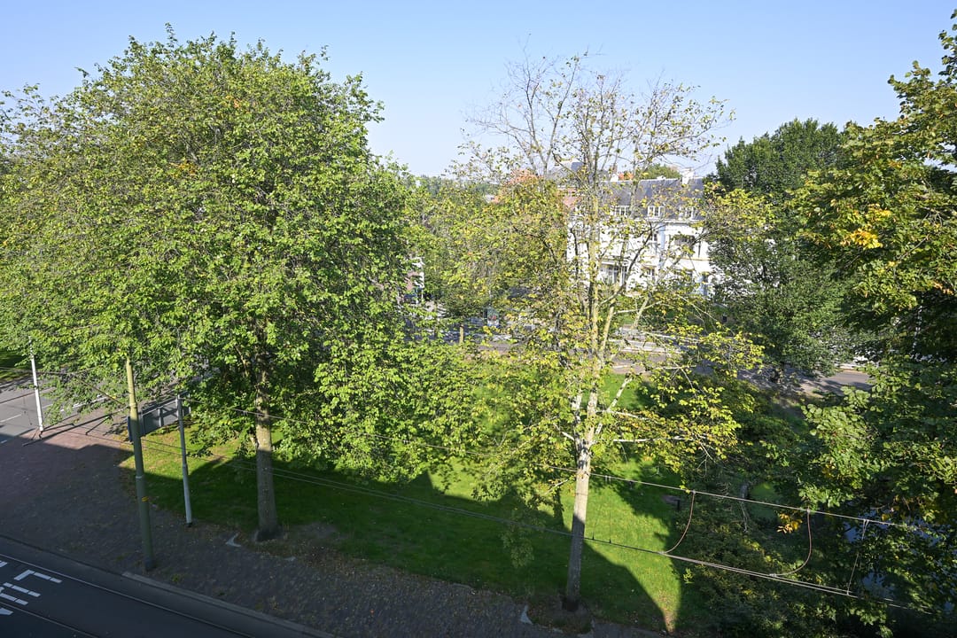 Foto 56 van Stadhouderslaan 8