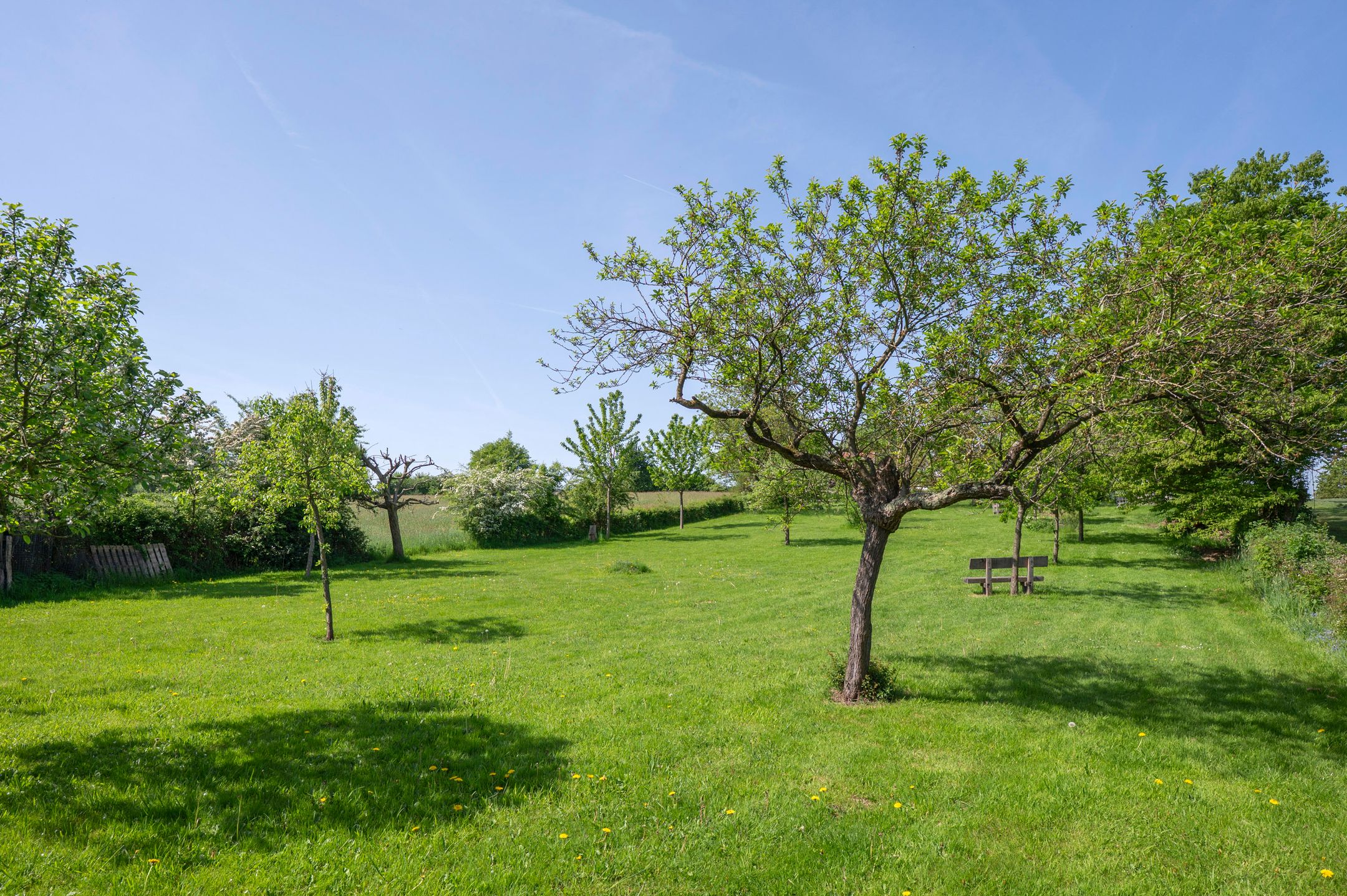 Foto 81 van Elzeterweg 3