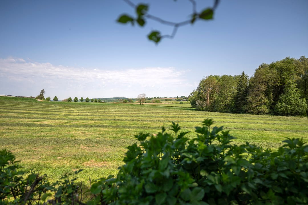 Foto 82 van Elzeterweg 3