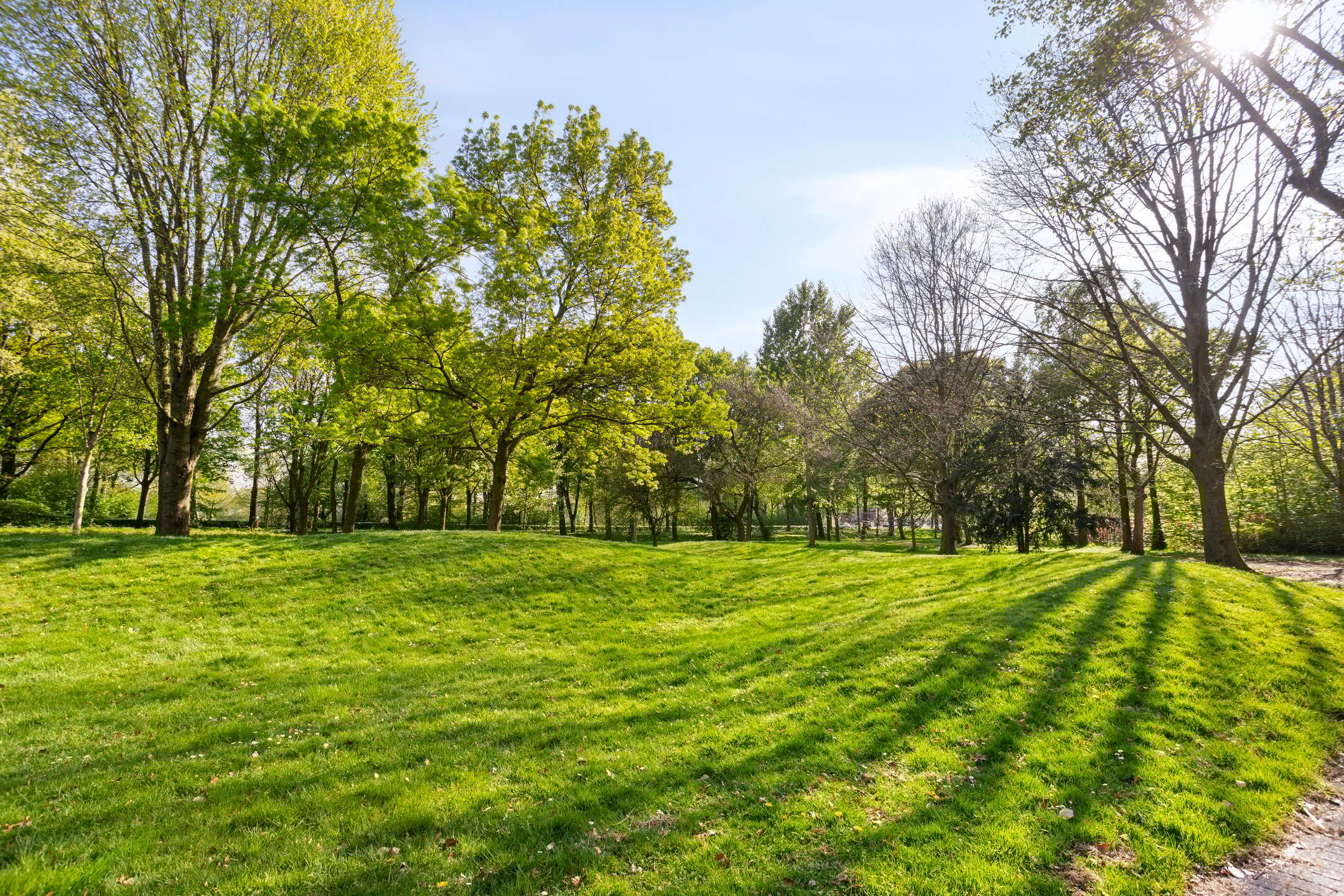 Foto 27 van Hintham 54-C