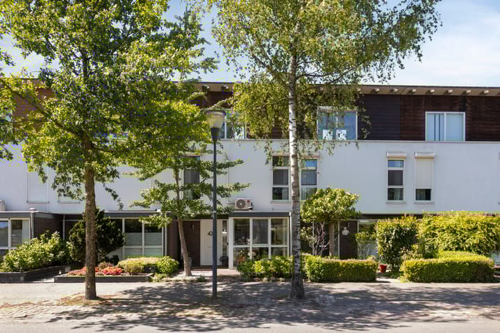 Foto 5 van Zandschuit 55