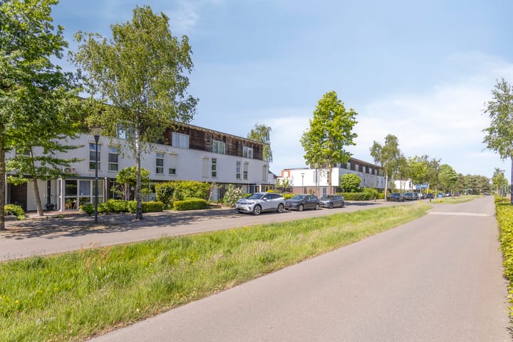 Foto 37 van Zandschuit 55