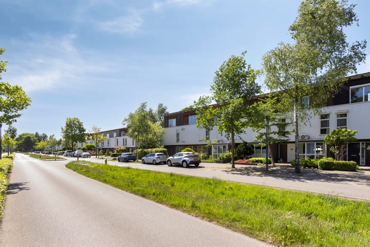 Foto 38 van Zandschuit 55