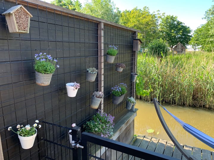 Foto 52 van Rietkam 19