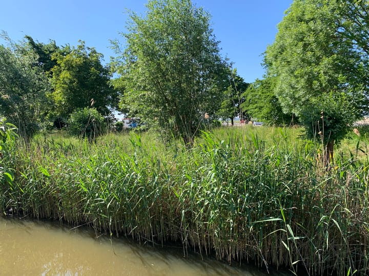 Foto 54 van Rietkam 19