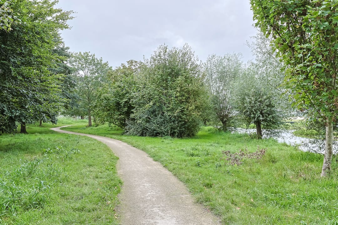 Photo 58 of Rietkam 19