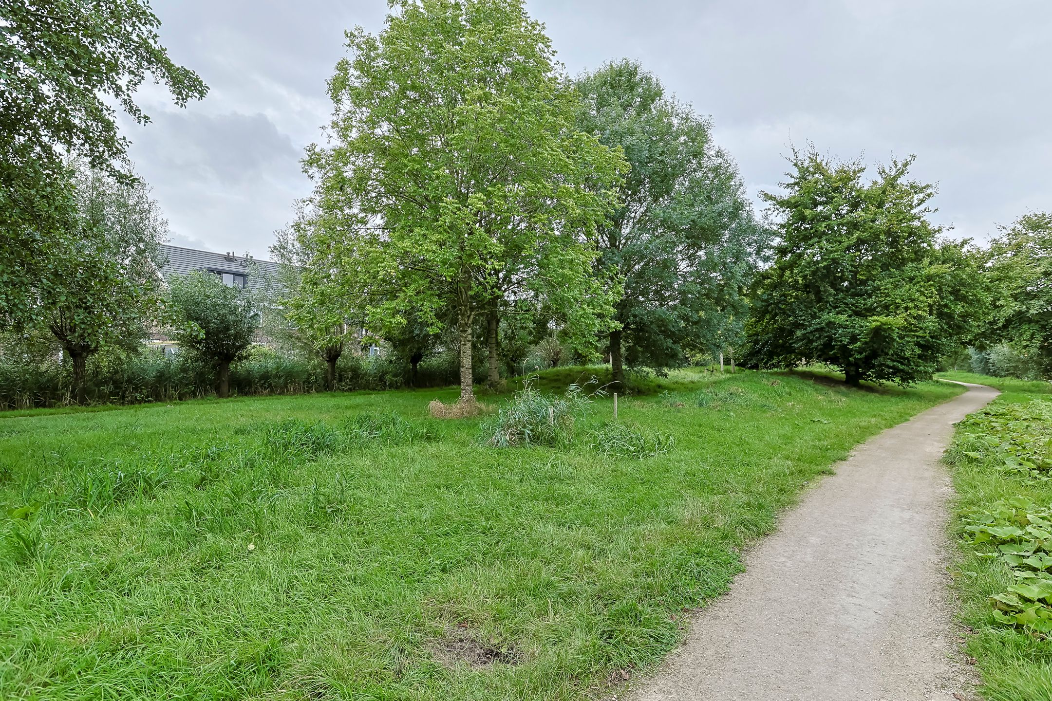 Photo 57 of Rietkam 19