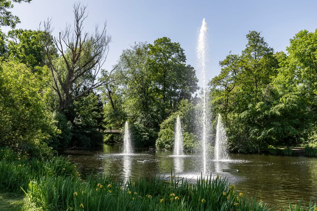 Foto 43 van Eerste Helmersstraat 315-H