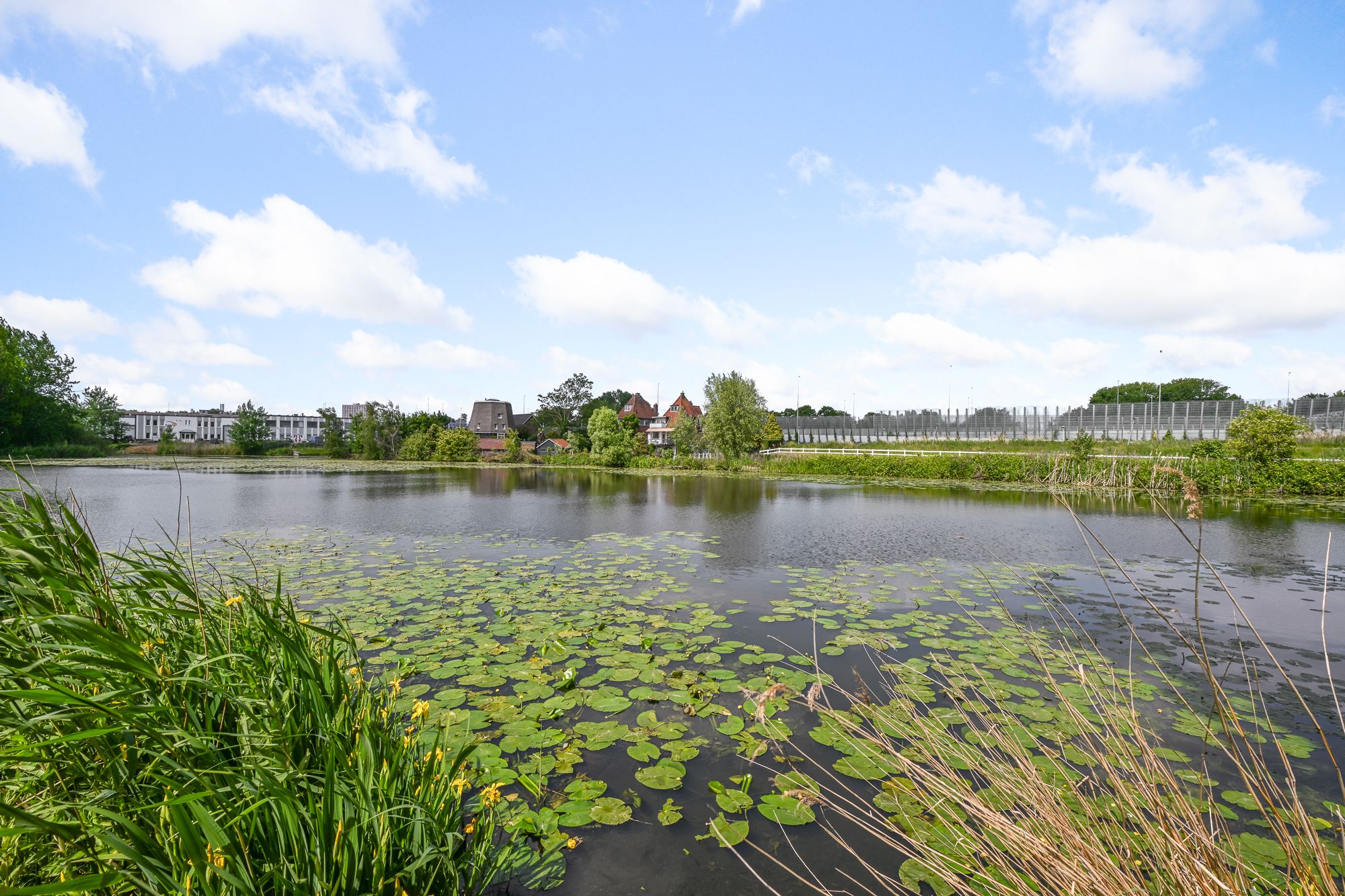 Foto 21 van Bomenrijk 111