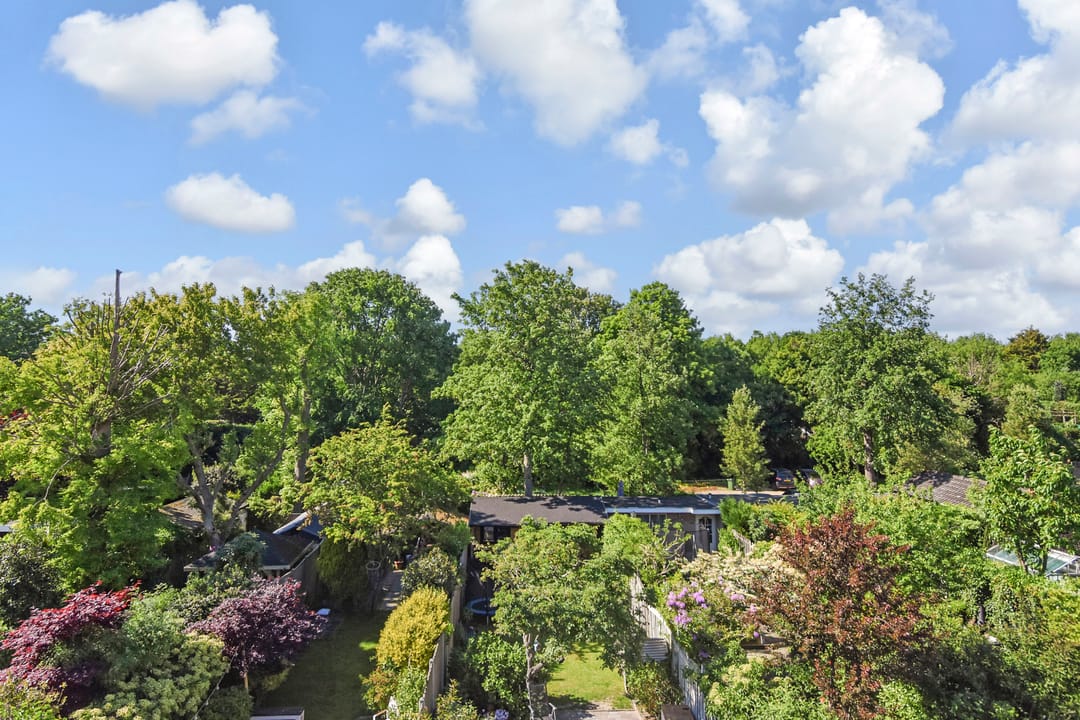 Foto 38 van Oude Haagweg 699