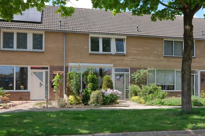 undefined main image