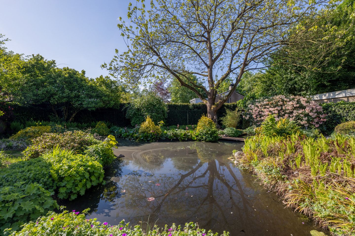 Foto 29 van Nederhuizinge 24