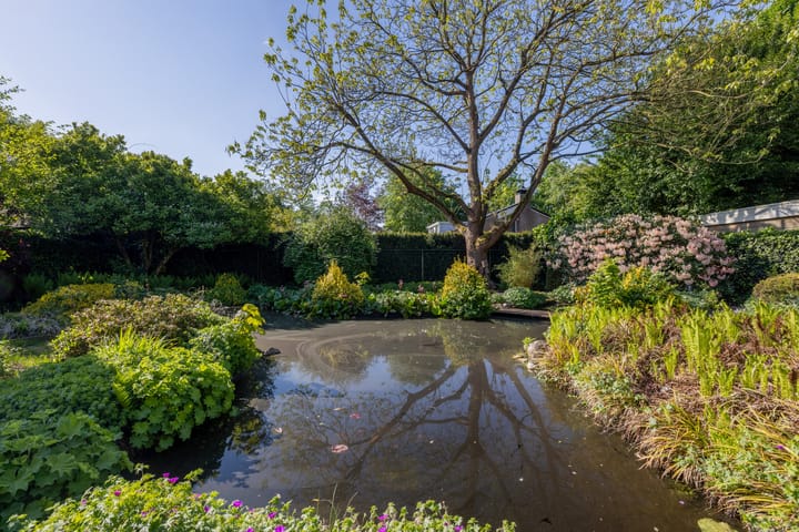 Foto 29 van Nederhuizinge 24