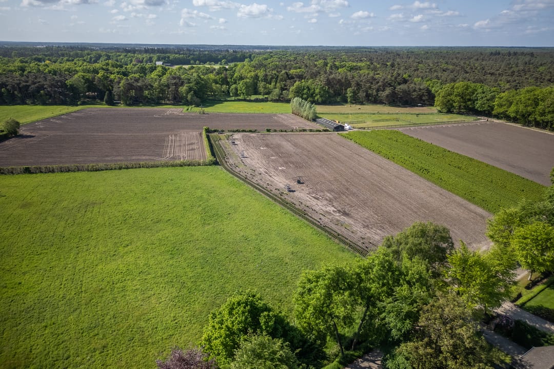 Foto 37 van Nederhuizinge 24